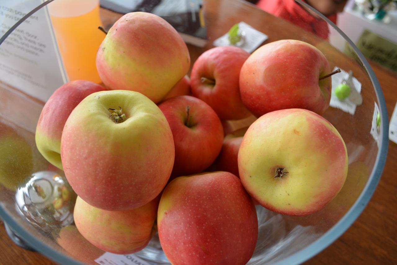 The Apple Inn Batlow Екстериор снимка